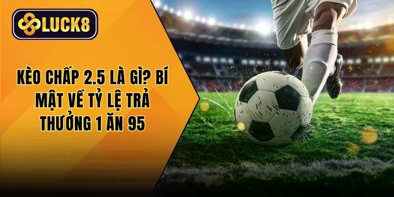 kèo chấp 2.5 là gì