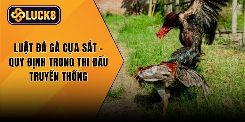 Luật đá gà cựa sắt