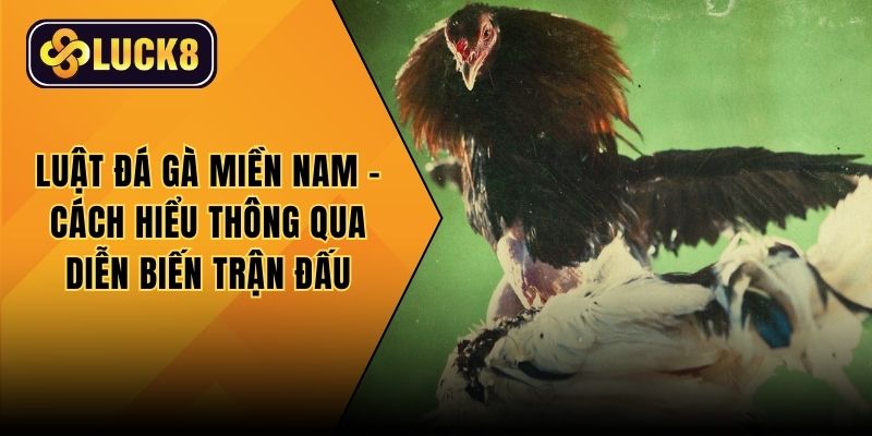 Luật đá gà miền Nam