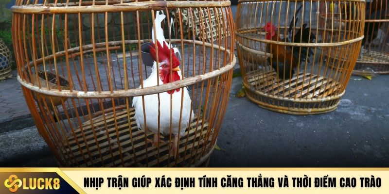 Nhịp trận giúp xác định tính căng thẳng và thời điểm cao trào