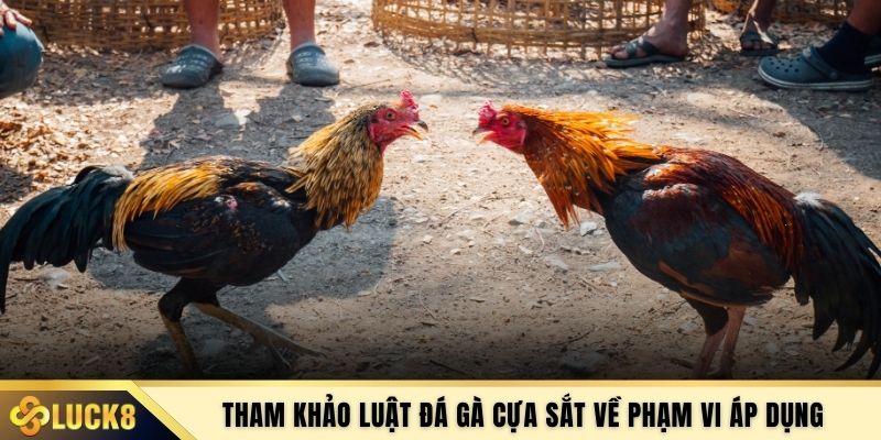 Tham khảo luật đá gà cựa sắt về phạm vi áp dụng 