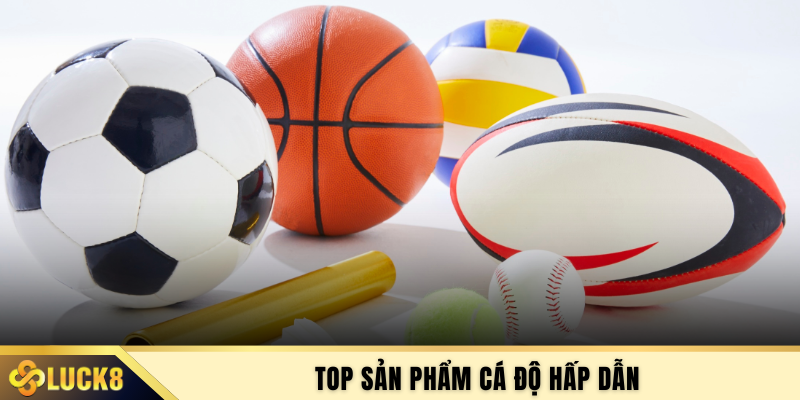 Top sản phẩm cá độ hấp dẫn